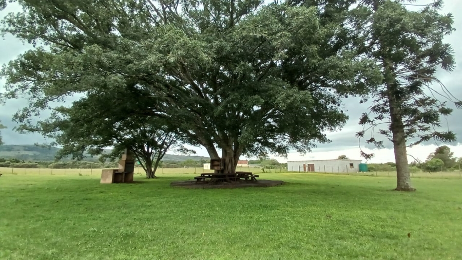 Commercial Property for Sale in Bathurst Rural Eastern Cape